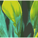 Green Leaves Cross Stitch Pattern PDF, Easy Floral Embroidery Chart, DMC 12 Colors, 360 x 216 Stitches, Instant Download
